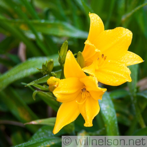 solvang-march-2007-41